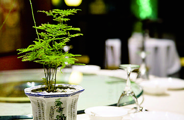 差异化经营连锁店