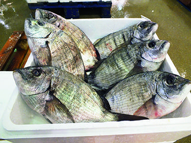 开业定位过高咋办