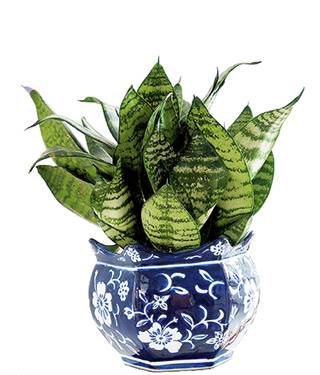 薄利多销赚财气