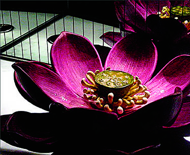 餐厅卫生间 亮点大发现