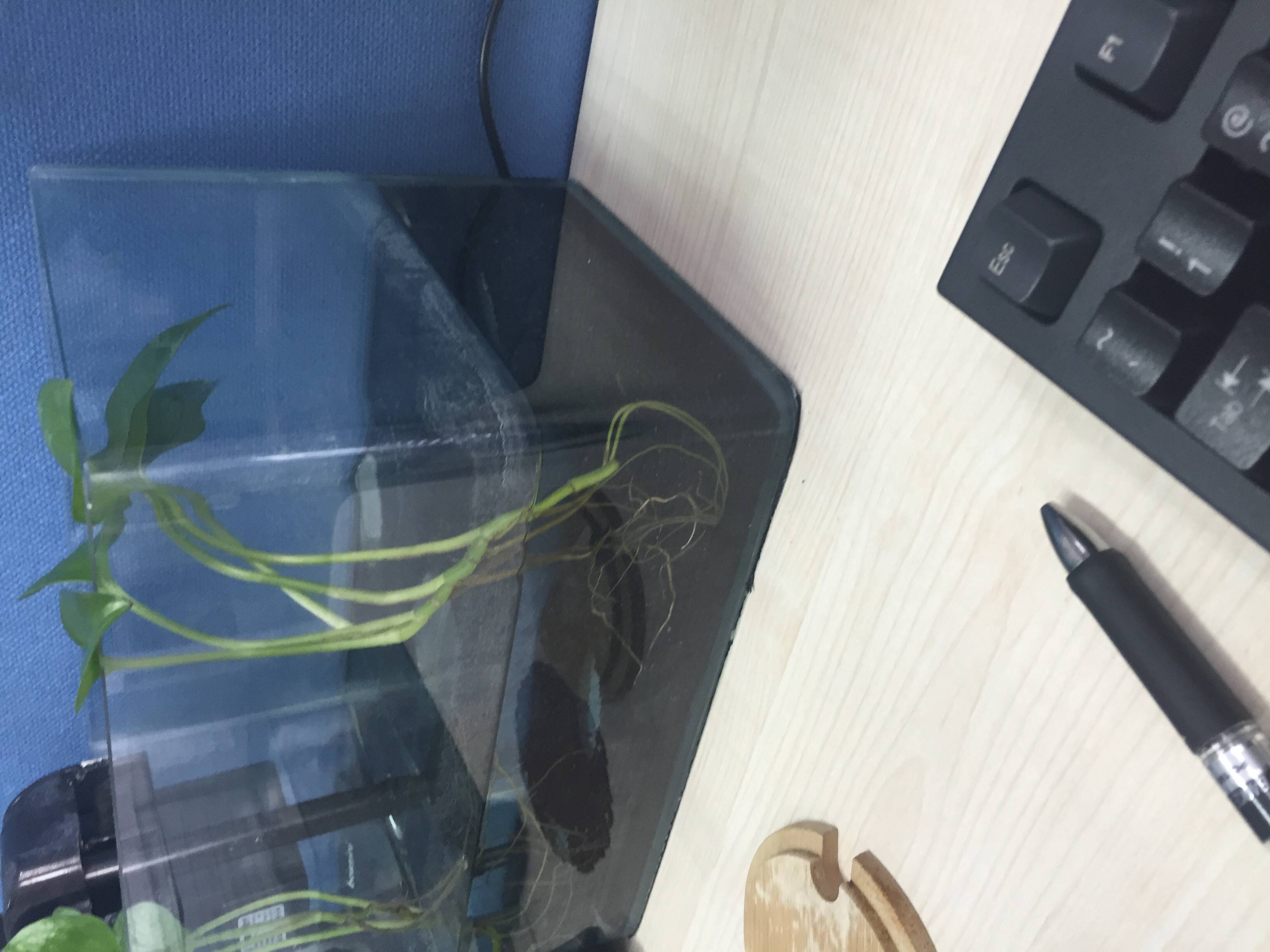test211