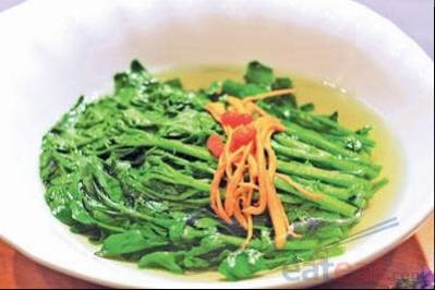 泉水西洋菜