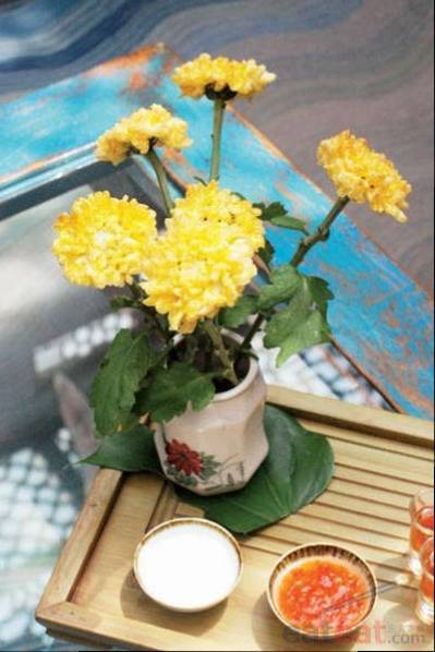 菊食无双
