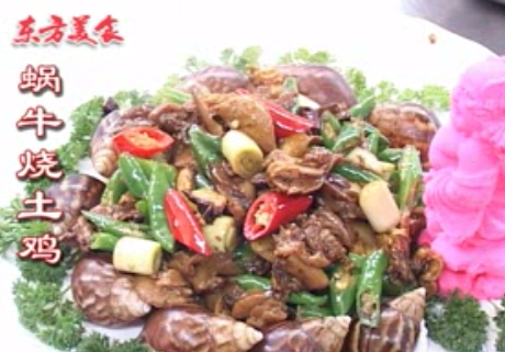 蜗牛烧土鸡