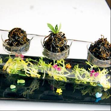 有滋有味草头干