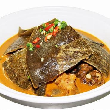 红烧武陵甲鱼