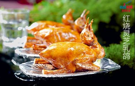 红烧灵芝乳鸽