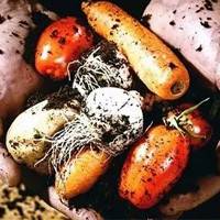 方法:把握货源降成本！