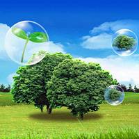 方法:餐企“环评”四项注意