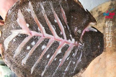 柳叶花刀（技法）