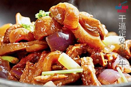 干逼定安小黄牛