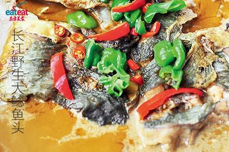 长江野生大鲶鱼头