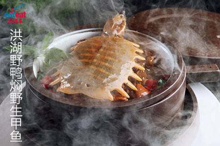 洪湖野鸭焖野生甲鱼