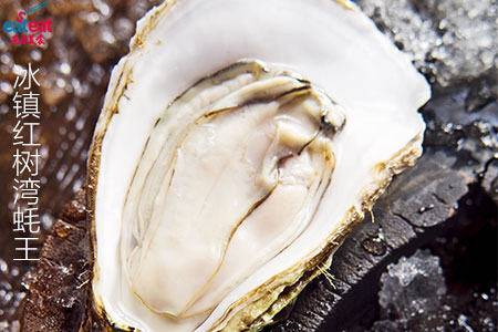冰镇红树湾蚝王