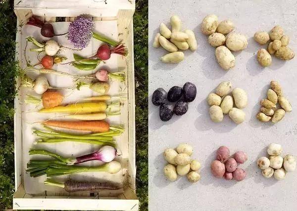 工具：采购成本五控法