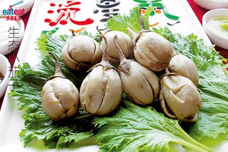 生态小茄子