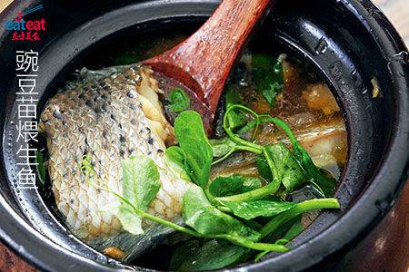 豌豆苗煨生鱼