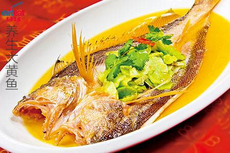 养生大黄鱼