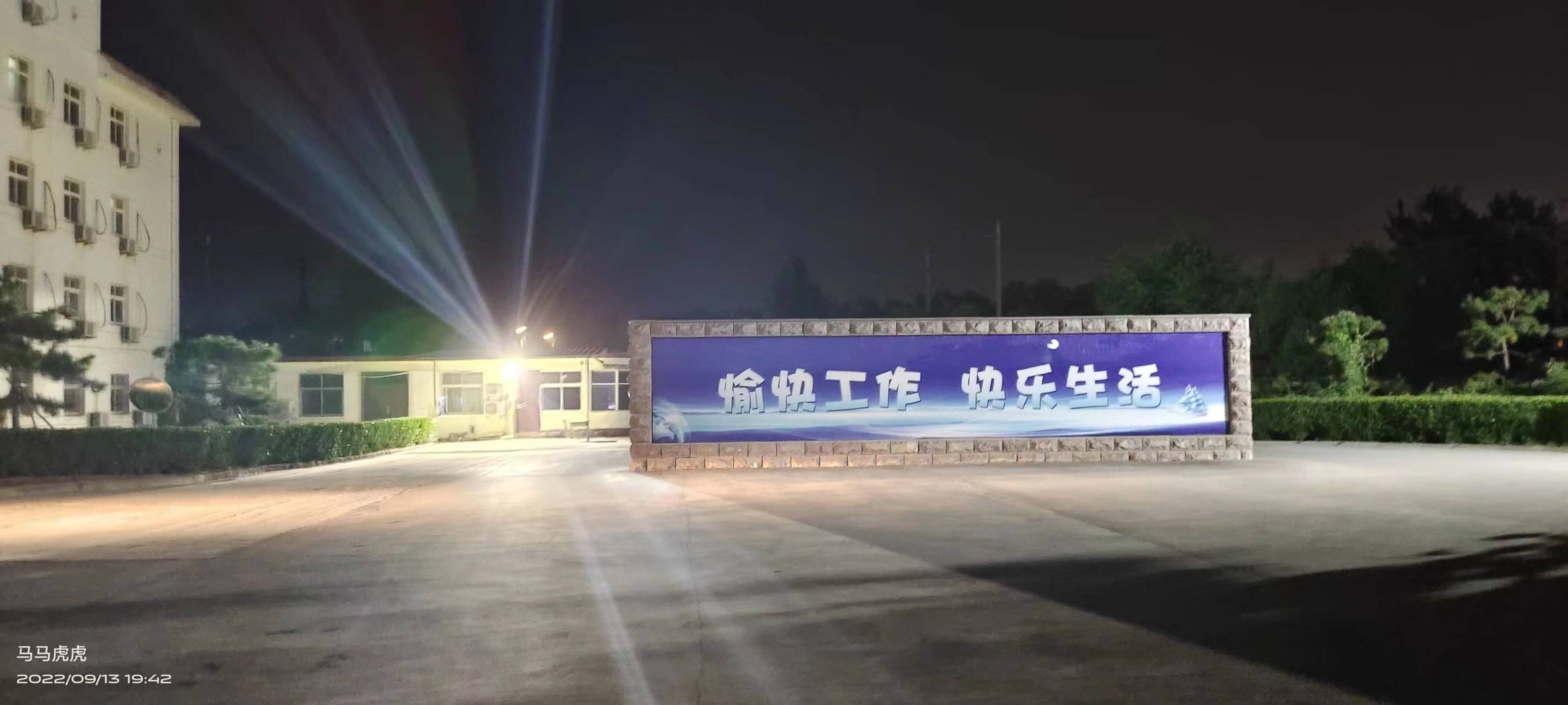 特特了