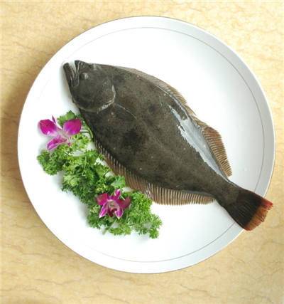 左口鱼事件处理分析