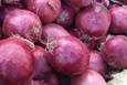 西昌洋葱：颜色紫红表皮光滑，葱肉紧！