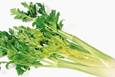 西吉西芹：皮薄纤少，柔嫩味鲜