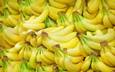 乐东香蕉：靓丽色泽、梳把整齐！