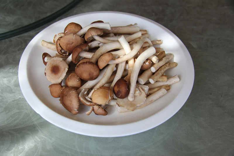 佛山：主城区餐厅须装净化器