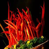 霄云餐厅：惊魂万圣节，体验大厨技法