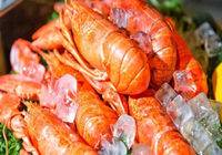 咖啡Cha:诱人的食材从龙虾开始