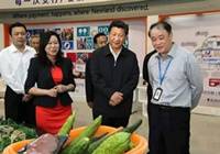 习近平：严防严管严控食品安全风险 