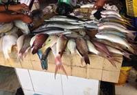 餐厅采购不懂这些能成吗？