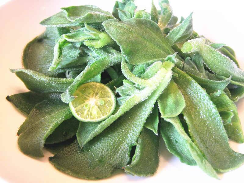 珠海：首座蔬菜植物工厂正式投产 