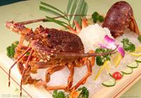 悉尼:著名海鲜餐厅被控虐待动物