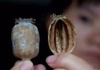 上海:4家餐饮店上了“黑名单”获刑