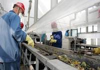 北京：将实现餐厨垃圾日处理2800吨