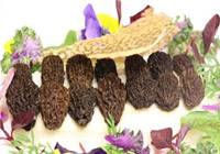 湖北：中国羊肚菌产业大会成功举办