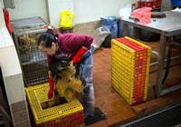 澳门：“舌尖上的风波”两大难题待解