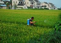 《农药管理条例》即将正式公布 