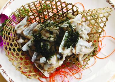 苔条蝽子