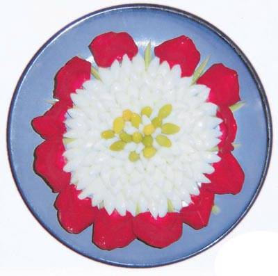 出水芙蓉