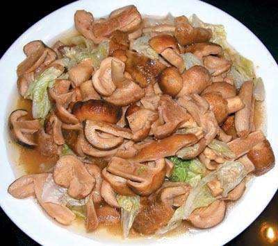 花椒叶炒牛肝菌