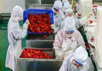 江苏盱眙龙虾“走”出国门