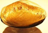 食药监总局：尚未批准过任何“补脑”保健品