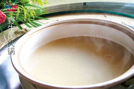 野生菌火锅底汤