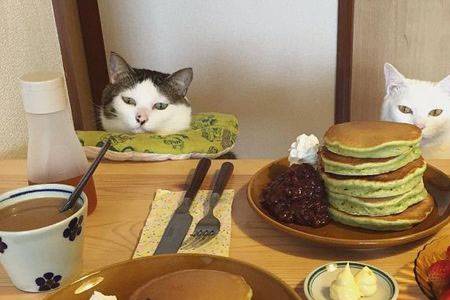 方法：服务员的失误导致顾客不买单怎么办？