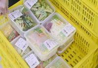 北京：坝上“净菜”每年进京10万吨 