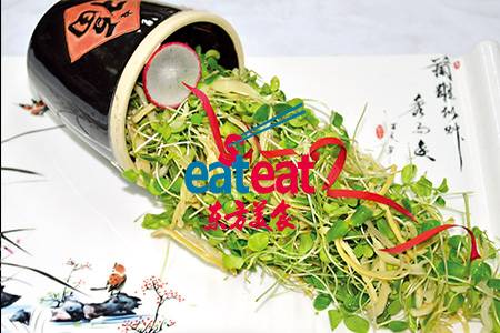 竹笋丝拌香椿苗