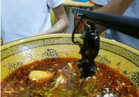 四川：碗里吃出死老鼠 4名消费者获赔8000元