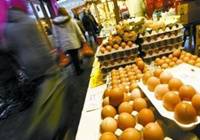 比利时：将彻查“毒鸡蛋”事件